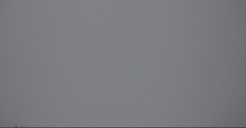 Webcam Сан-Мартино-ди-Кастроцца - Пассо-Ролле - Tognola - Rampone delle Malghe