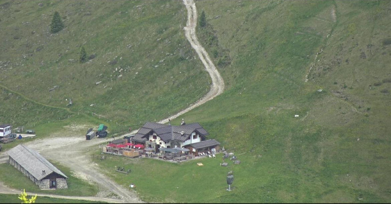 Webcam Сан-Мартино-ди-Кастроцца - Пассо-Ролле - Tognola - Rampone delle Malghe