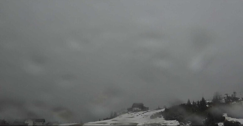 Webcam San Martino di Castrozza - Passo Rolle - Passo Rolle - Il Cimone