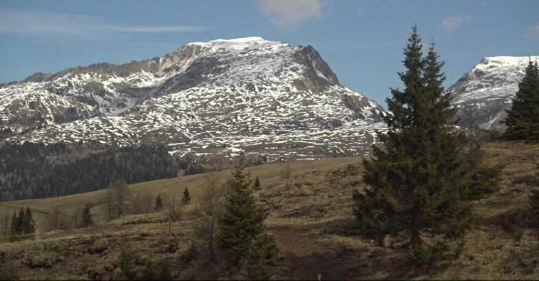 Webcam Сан-Мартино-ди-Кастроцца - Пассо-Ролле - Passo Rolle - Bocche