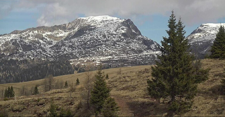 Webcam Сан-Мартино-ди-Кастроцца - Пассо-Ролле - Passo Rolle - Bocche