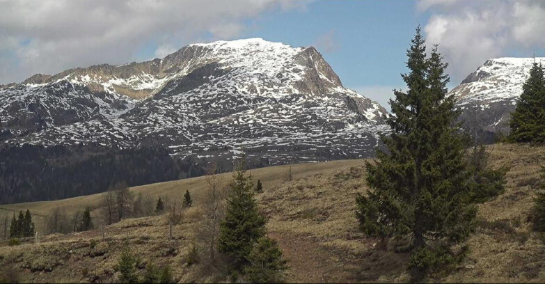 Webcam Сан-Мартино-ди-Кастроцца - Пассо-Ролле - Passo Rolle - Bocche