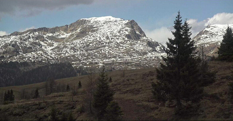 Webcam Сан-Мартино-ди-Кастроцца - Пассо-Ролле - Passo Rolle - Bocche