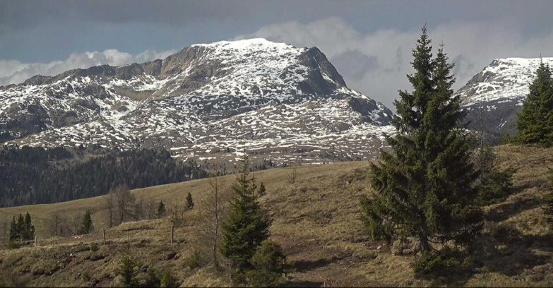 Webcam Сан-Мартино-ди-Кастроцца - Пассо-Ролле - Passo Rolle - Bocche