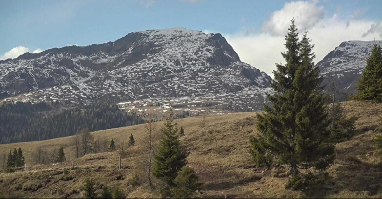 Webcam Сан-Мартино-ди-Кастроцца - Пассо-Ролле - Passo Rolle - Bocche