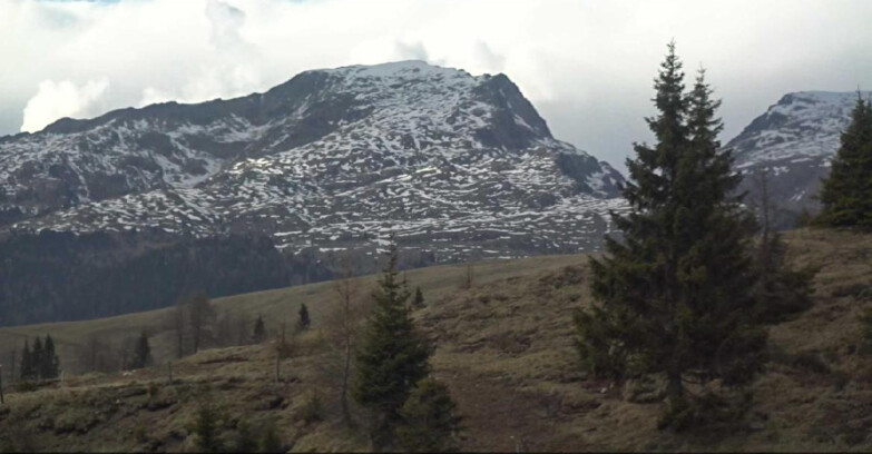 Webcam Сан-Мартино-ди-Кастроцца - Пассо-Ролле - Passo Rolle - Bocche