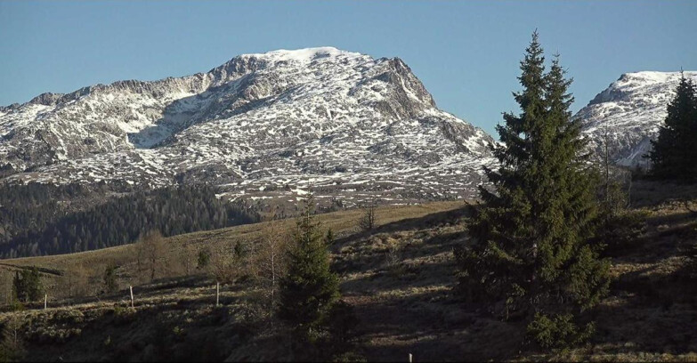 Webcam Сан-Мартино-ди-Кастроцца - Пассо-Ролле - Passo Rolle - Bocche