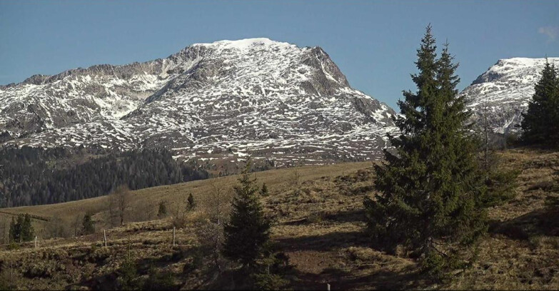 Webcam Сан-Мартино-ди-Кастроцца - Пассо-Ролле - Passo Rolle - Bocche
