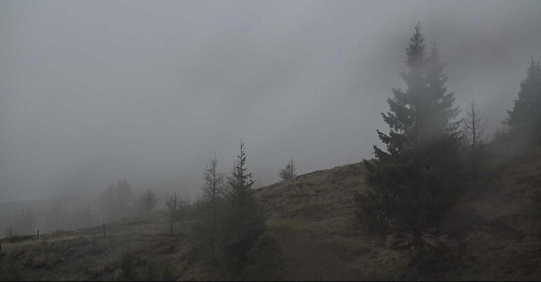 Webcam San Martino di Castrozza - Passo Rolle - Passo Rolle - Bocche