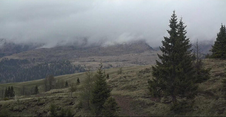 Webcam San Martino di Castrozza - Passo Rolle - Passo Rolle - Bocche