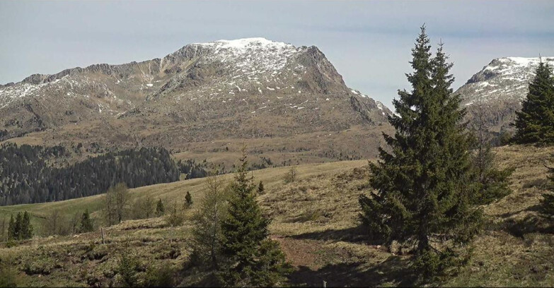 Webcam San Martino di Castrozza - Passo Rolle - Passo Rolle - Bocche