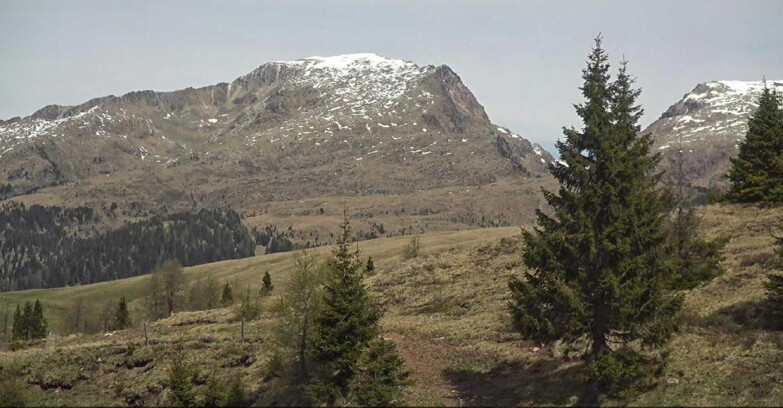 Webcam San Martino di Castrozza - Passo Rolle - Passo Rolle - Bocche