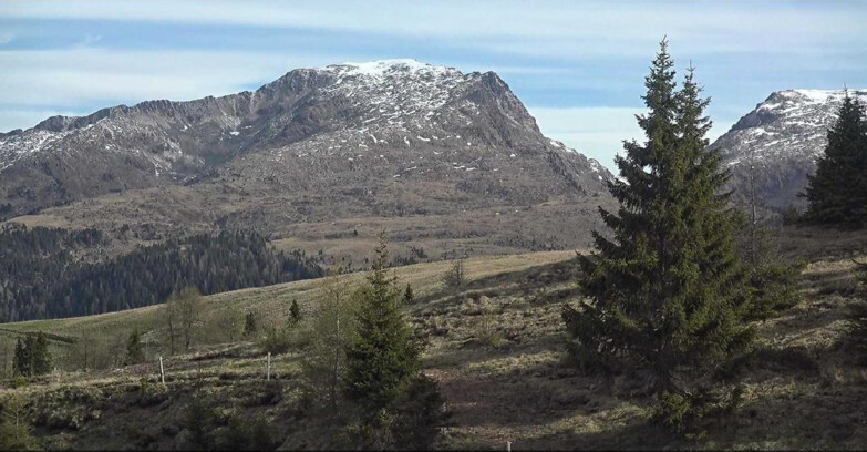 Webcam San Martino di Castrozza - Passo Rolle - Passo Rolle - Bocche