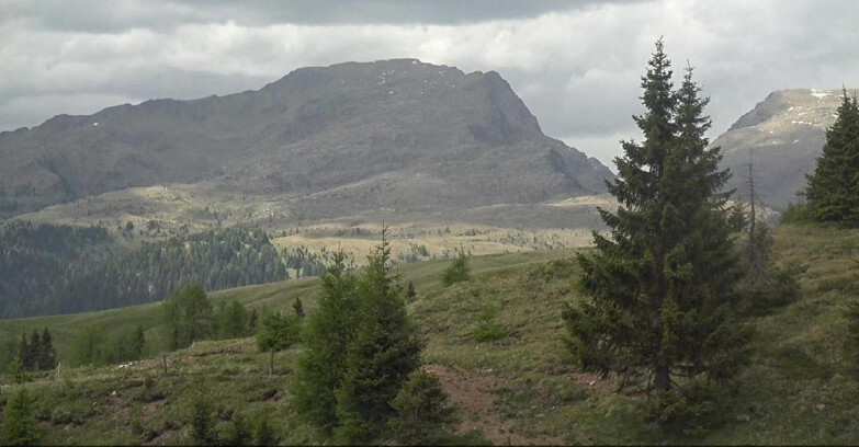 Webcam San Martino di Castrozza - Passo Rolle - Passo Rolle - Bocche