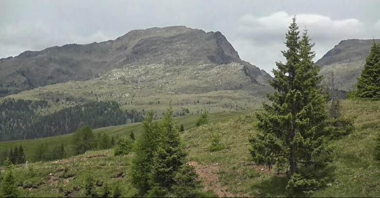 Webcam San Martino di Castrozza - Passo Rolle  - Passo Rolle - Bocche