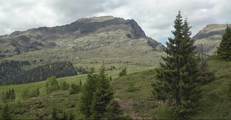 Webcam San Martino di Castrozza - Passo Rolle  - Passo Rolle - Bocche