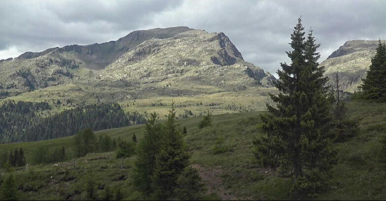 Webcam San Martino di Castrozza - Passo Rolle  - Passo Rolle - Bocche