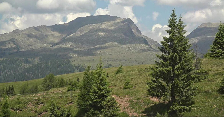 Webcam San Martino di Castrozza - Passo Rolle - Passo Rolle - Bocche