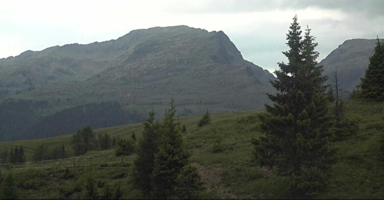 Webcam San Martino di Castrozza - Passo Rolle - Passo Rolle - Bocche