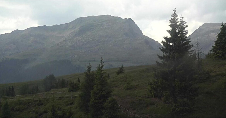 Webcam Сан-Мартино-ди-Кастроцца - Пассо-Ролле - Passo Rolle - Bocche
