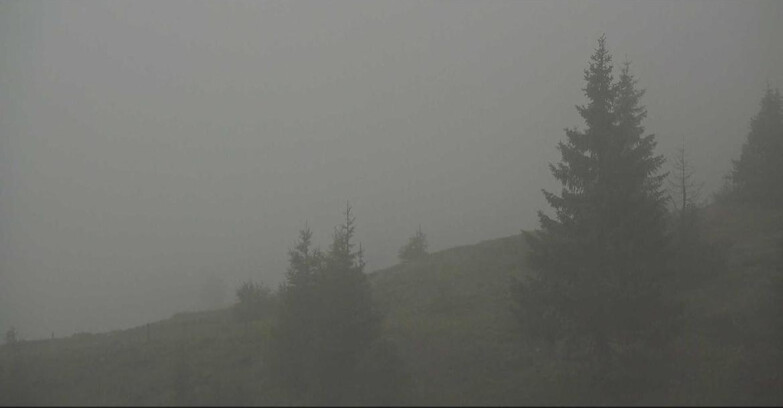 Webcam San Martino di Castrozza - Passo Rolle - Passo Rolle - Bocche