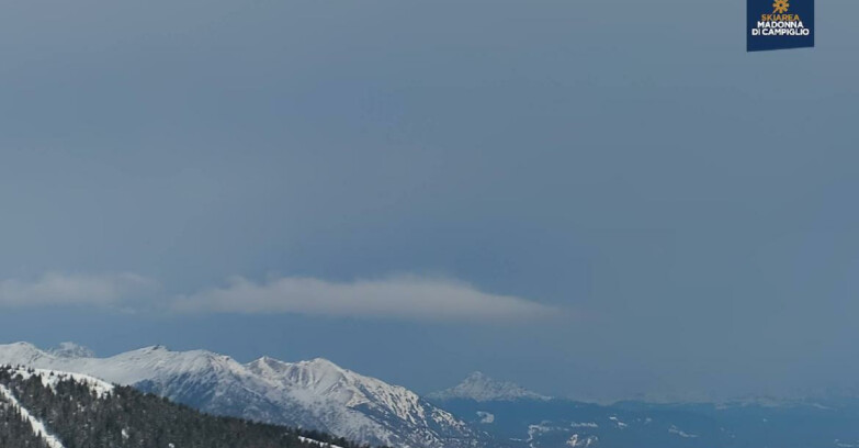 Webcam Madonna di Campiglio - Area Grostè