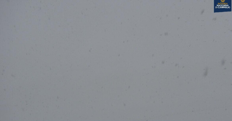 Webcam Madonna di Campiglio - Brenta Dolomites